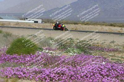 media/Feb-04-2023-SoCal Trackdays (Sat) [[8a776bf2c3]]/Turn 15 Inside Blooming (1050am)/